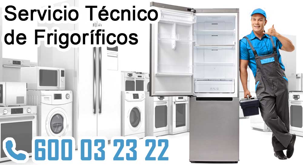 Servicio Técnico de Frigoríficos